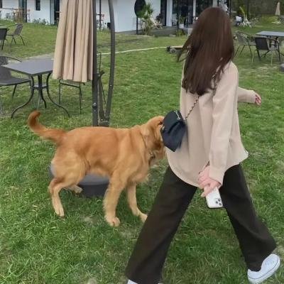 救世