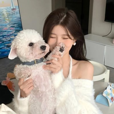 梦里乾坤